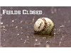 All Fields Closed Today