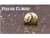 Fields closed tonight